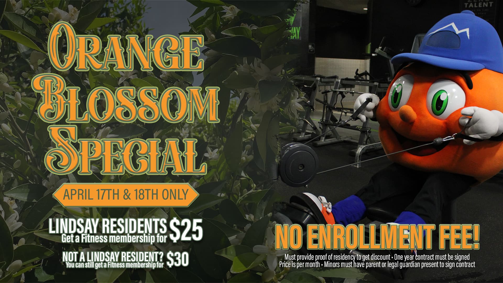 Orange Blossom Special 2026